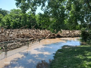 UPDATE: Massive Driftwood Build-Up Along Smoky Hill River Prompts Questions About Cleanup