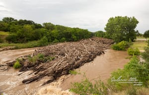 City Finalizes Contractor for Smoky Hill River Log Jam Cleanup Amid Debate and Citizen Concerns