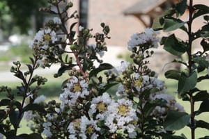 Paleoecologist to Open Second Season of ‘Prairie Conversations’