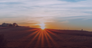 Miller-Klugesherz Named Joe Hale Chair of Regenerative Agriculture