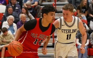 Ell-Saline vs Sterling in Sub-State Finals